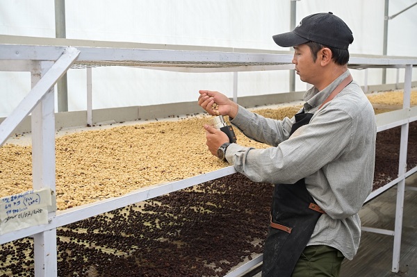 Lebih dari Kopi, Inovasi Panas Bumi PGE Sukses Bangun Ekonomi Sirkular di Kamojang Foto_3.jpg