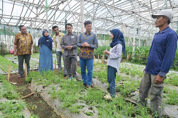 Inovasi Anak Muda Ubah Tantangan Iklim Jadi Peluang di Lahan Pertanian cai.png