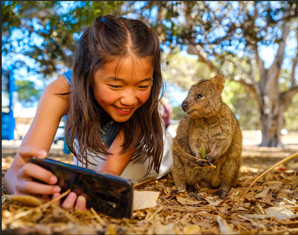 7 Destinasi Ikonik di Australia Barat yang Harus Masuk dalam Daftar Tujuan Wisata Kamu! wisata_australia1.png