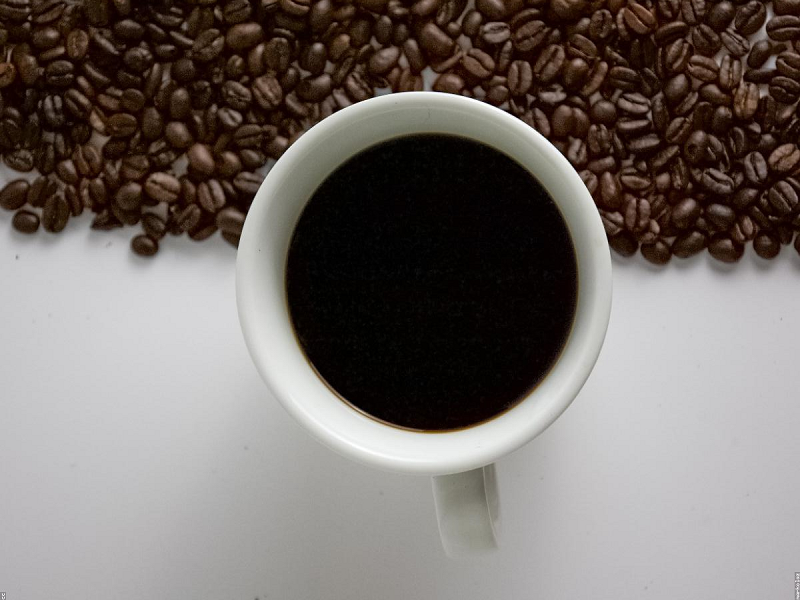 Menjelajahi Surga Kopi Amstirdam hingga Luwak Langka