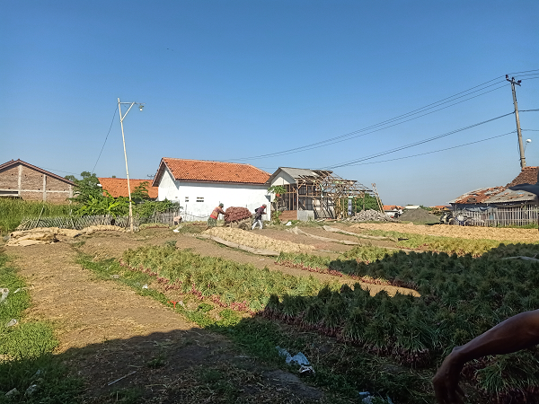 KUMPULAN CERMIN (CERITA MINI) KANG THOHIR-BREBES